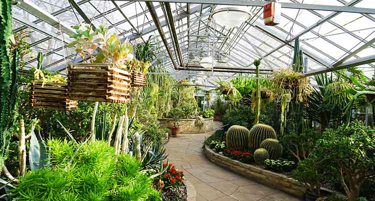 Allans Garden Conservatory 