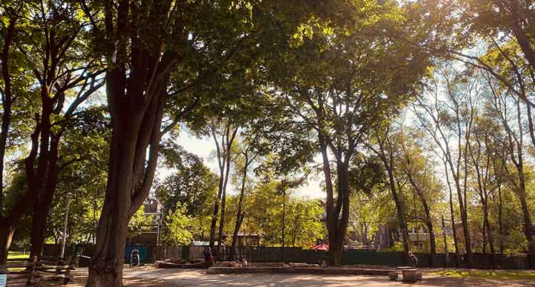 Dufferin Grove Park