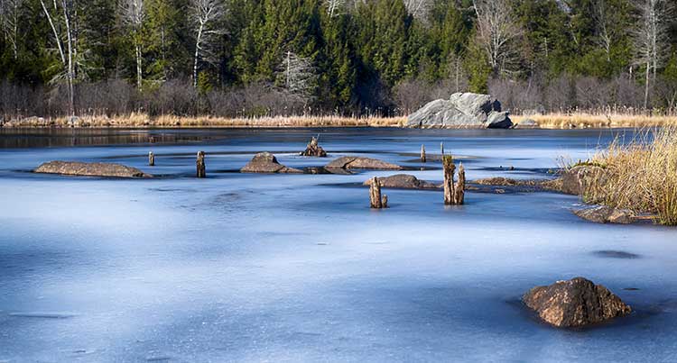 Sunnybrook Park 